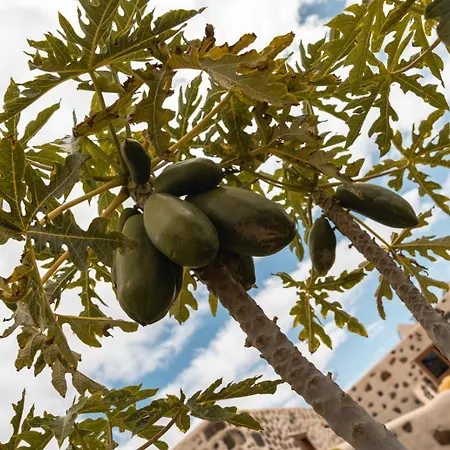 Hotel Rural El Cabo Villaverde (Fuerteventura)