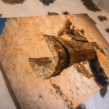 ホテル Rural El Cabo 3*