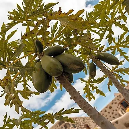 Rural El Cabo Villaverde (Fuerteventura)