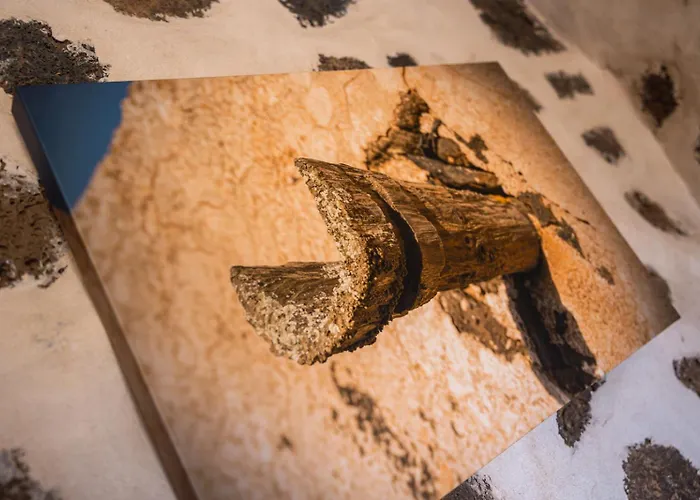 Hotel Rural El Cabo 3*