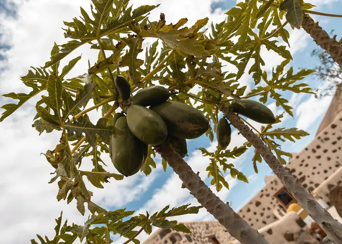 Hotel Rural El Cabo Villaverde (Fuerteventura)